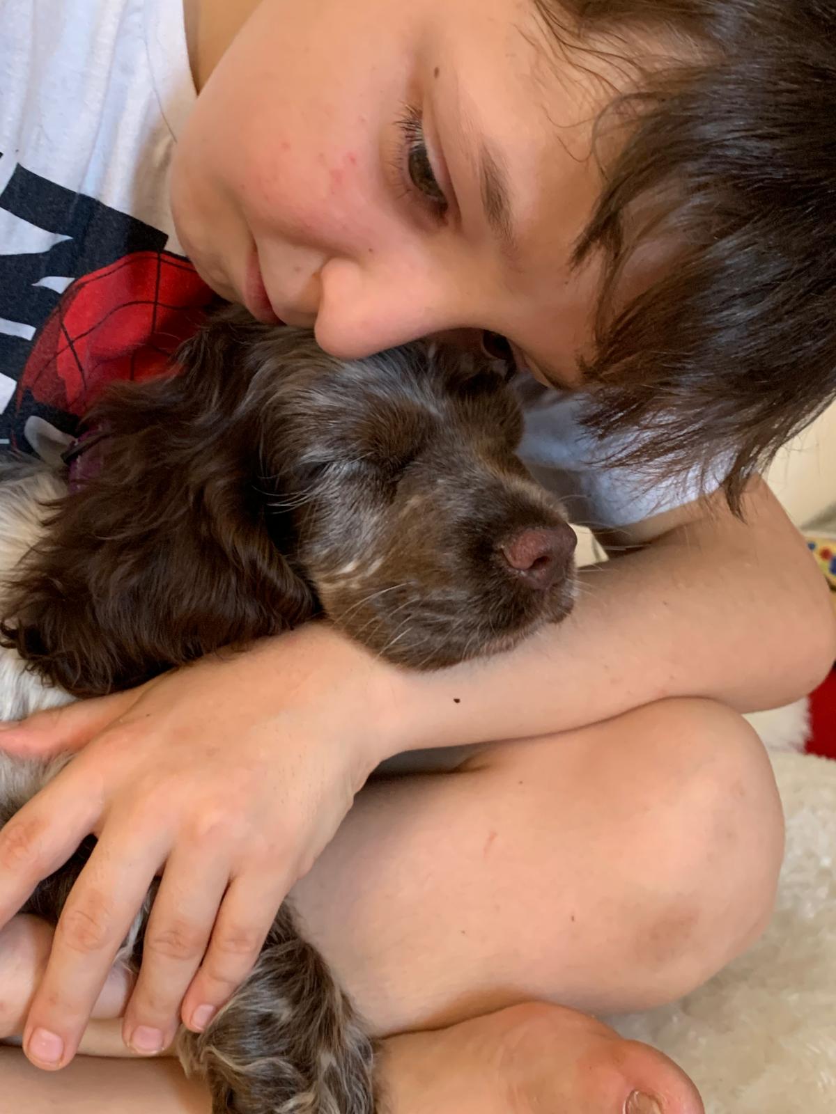 Un bambino abbraccia con dolcezza un cucciolo di Cocker